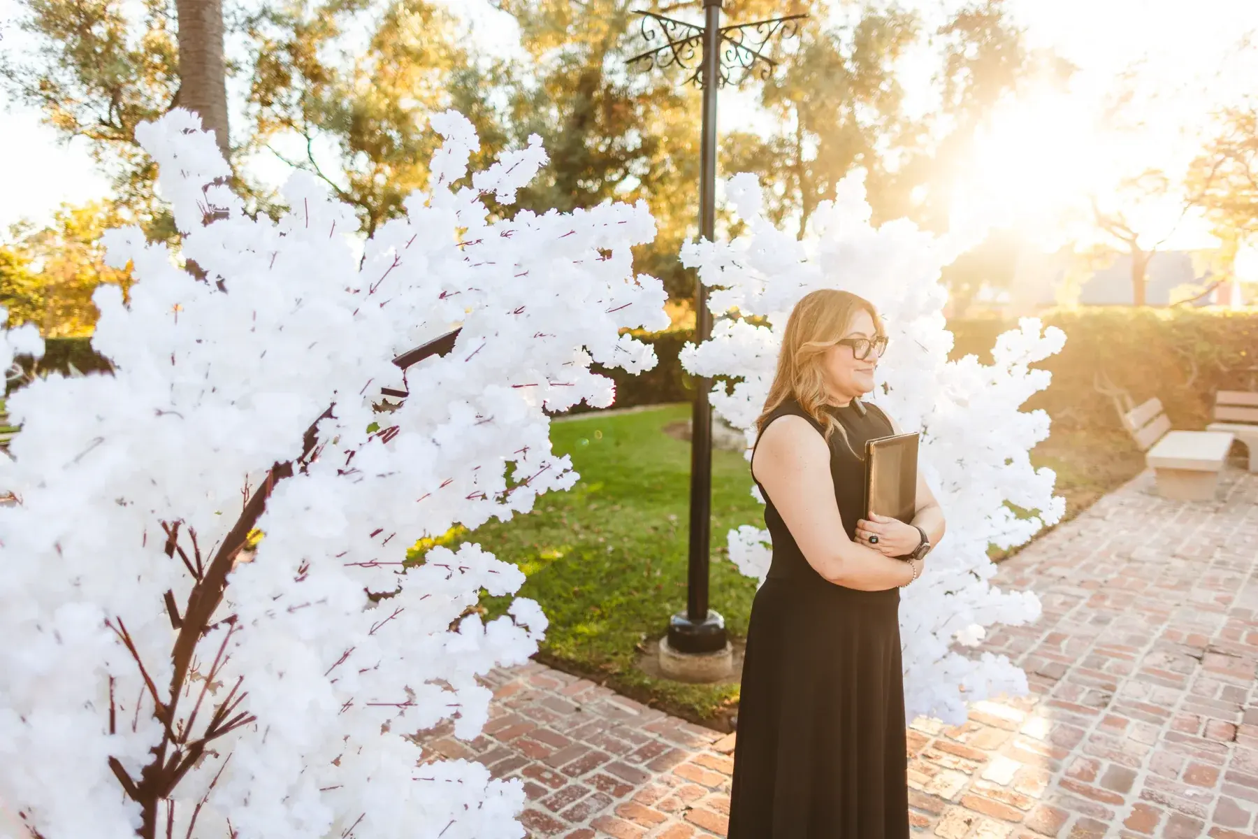 Close view of the white cherry blossom arch at sunset