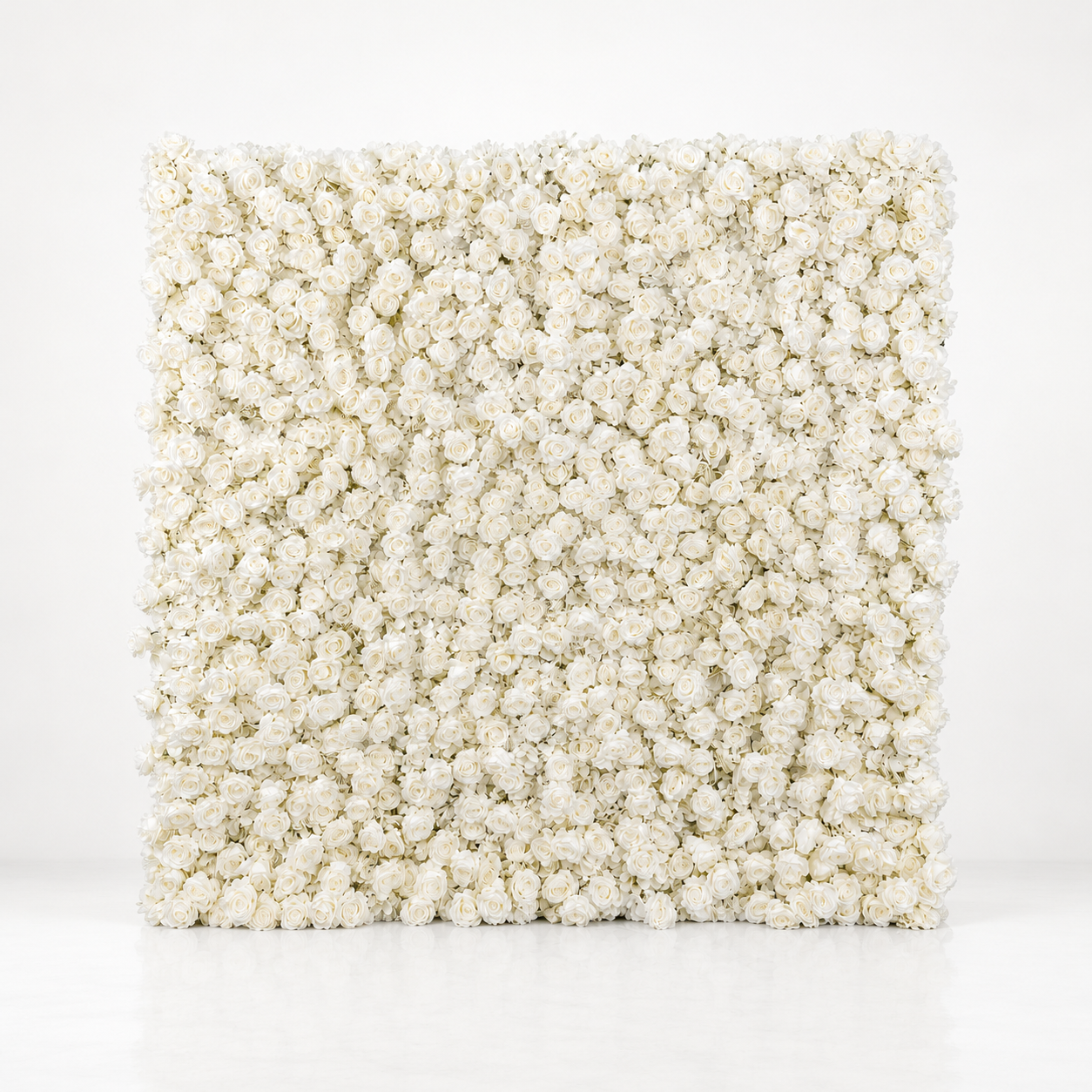 Full white rose flower wall on a plain studio background